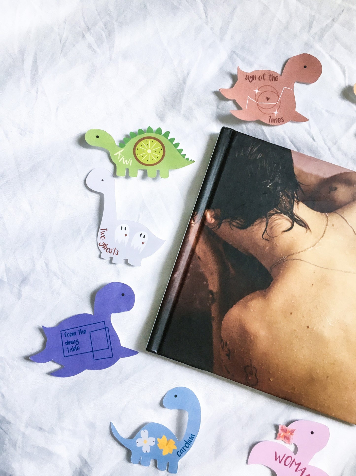 HS1 Album Dinosaur Stickers